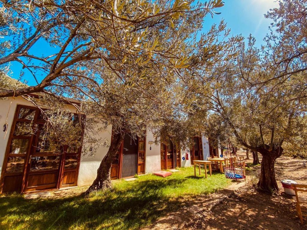 Hotel Yiva Kazdaglari Mehmetalani Esterno foto